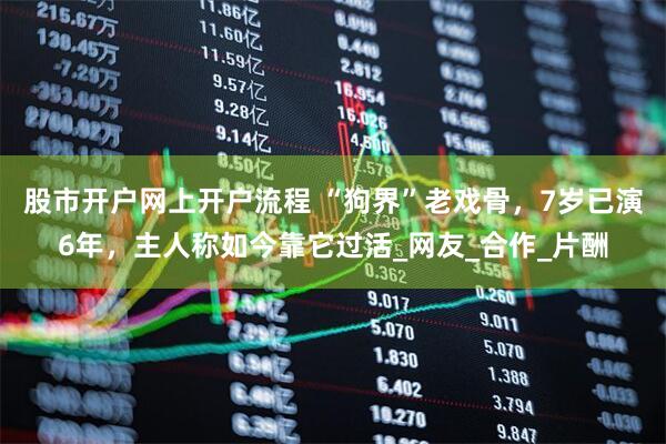 股市开户网上开户流程 “狗界”老戏骨，7岁已演6年，主人称如今靠它过活_网友_合作_片酬