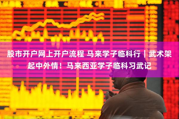 股市开户网上开户流程 马来学子临科行｜武术架起中外情！马来西亚学子临科习武记