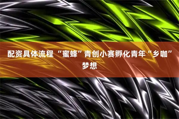 配资具体流程 “蜜蜂”青创小赛孵化青年“乡咖”梦想
